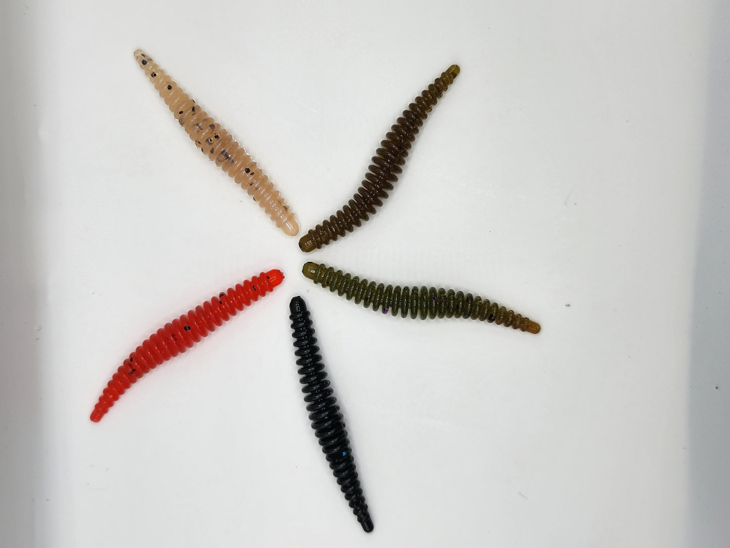 3.5" ring worm