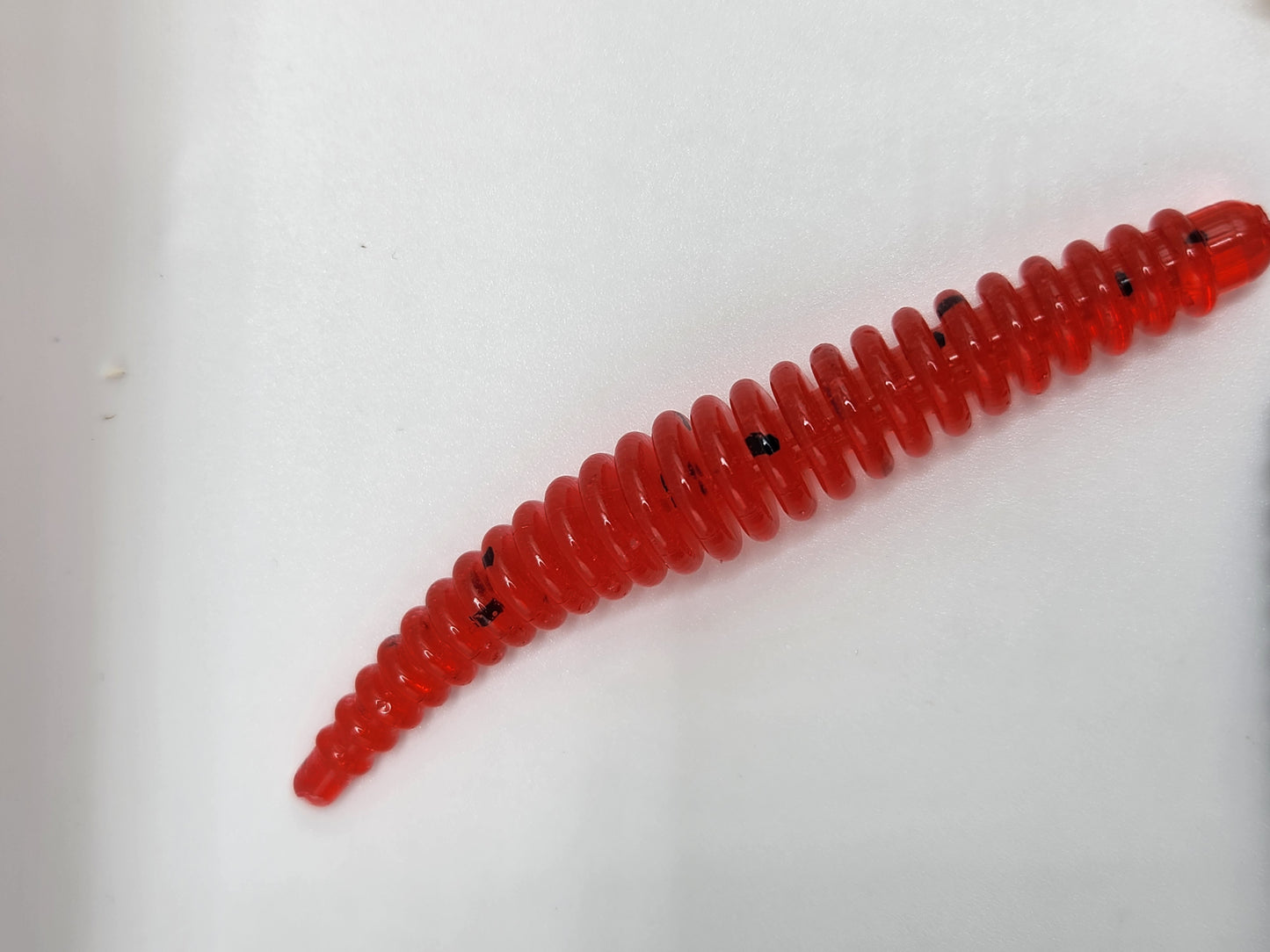 3.5" ring worm