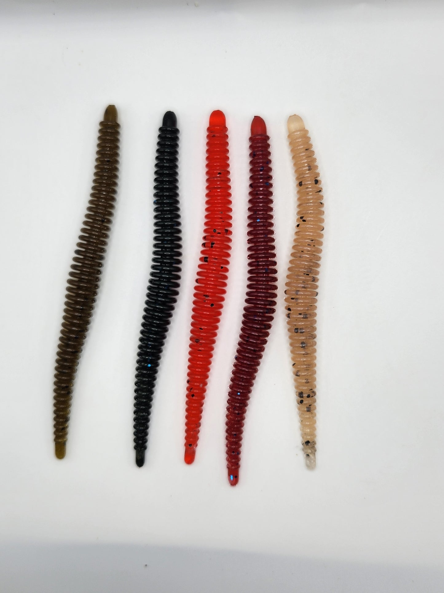 6" ring worm